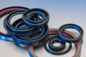 Oil Seal